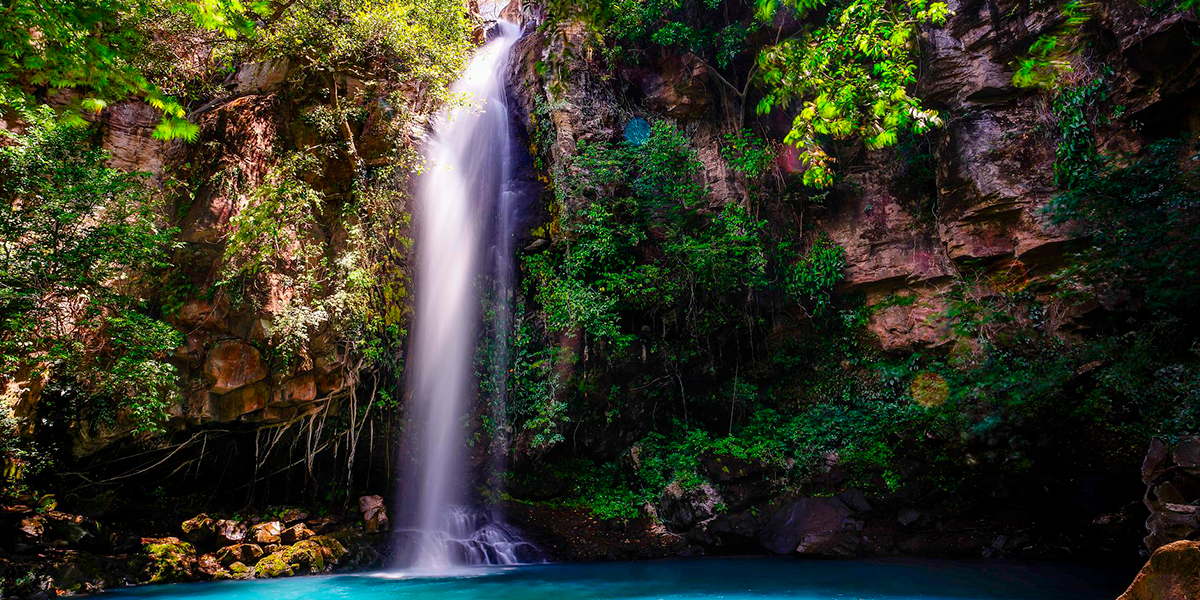 Selvas centroamericanas pasión por la naturaleza