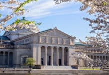 Ruta cultural por Centroamérica: Descubre los museos más interesantes de la región Museos más interesantes