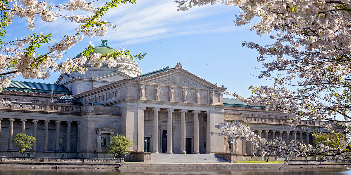 Museos más interesantes