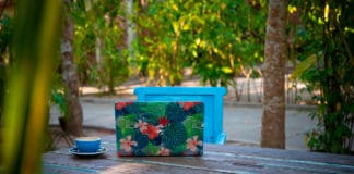 Por qué el clima de Centroamérica es ideal para el teletrabajo Clima Centroamérica