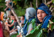 Los pueblos indígenas de Panamá y Costa Rica indígenas costa rica y panamá