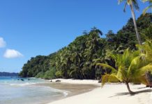 Islas de Coco y Coiba, dos joyas del océano Pacífico en Centroamérica