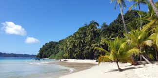 Islas de Coco y Coiba, dos joyas del océano Pacífico en Centroamérica