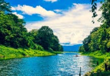 Les meilleures réserves naturelles d’Amérique centrale  reservas naturales Costa Rica