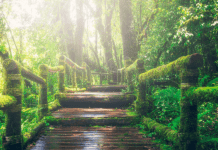 La principal reserva natural en Nicaragua y Honduras