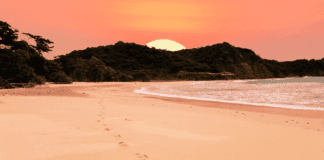 Turismo de naturaleza. Conoce las dos Guacanastes