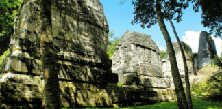 Turismo en Centroamérica: Yaxhá, un paraíso por descubrir en Guatemala y muy cerca de Belize