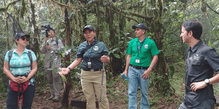 FOTO-LA-RUTA-DE-LA-CALDERA-adaptacion https://ensegundos.com.pa/2022/12/17/atp-inaugura-la-primera-etapa-de-la-ruta-de-la-caldera-en-el-valle-de-anton/