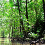 palawan-gd7035b8ad_1920.jpg