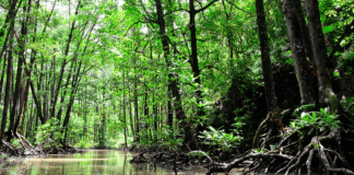 Lugares turísticos para visitar en Panamá a través de su naturaleza, cultura y gastronomía https://www.forbes.com/sites/jaredranahan/2022/12/30/the-coln-coast-panamas-most-underrated-destination-for-nature-culture-and-cuisine/?sh=efab2356af1f