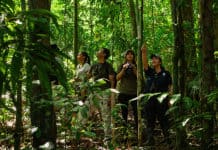 Crece llegada de turistas a Panamá