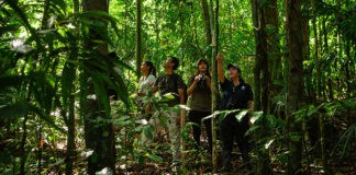 Crece llegada de turistas a Panamá