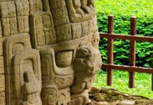 Ce ne sont pas des ruines ! Merveilles mayas au Belize, au Honduras et au Guatemala !