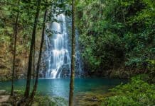 Centroamérica: un destino para el ecoturismo