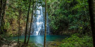 Centroamérica: un destino para el ecoturismo