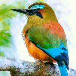 Un-mundo-exclusivo-a-vista-de-pajaro