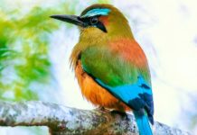 Un mundo exclusivo… a vista de pájaro Un mundo exclusivo… a vista de pájaro