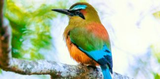 An Exclusive Realm From a Bird’s-Eye View Un mundo exclusivo… a vista de pájaro