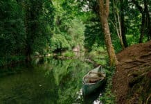 Joyas de la biodiversidad