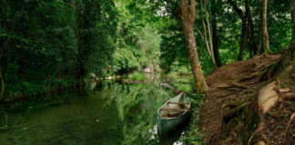 Joyas de la biodiversidad