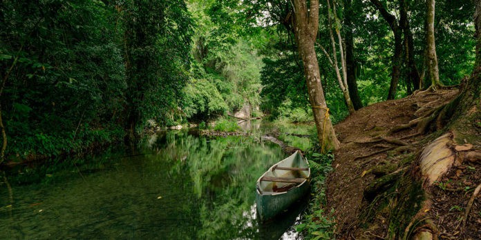 Joyas-de-la-biodiversidad