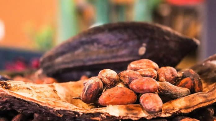 El cacao diversifica la oferta turística de Guatemala