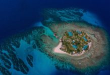 Honduras entre los mejores del mundo como destino de buceo Cayos cochinos