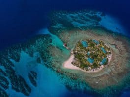 Honduras among the best in the world as a diving destination Cayos cochinos