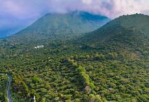 El Salvador: leader in tourism growth in post-pandemic Central America Ruta de las flores