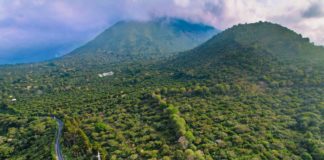 El Salvador: leader in tourism growth in post-pandemic Central America Ruta de las flores