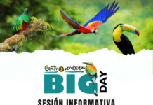 Participa en la sesión informativa del Centroamérica Big Day Sesión informativa Big Day