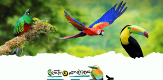 Participa en la sesión informativa del Centroamérica Big Day Sesión informativa Big Day