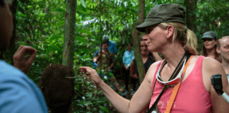 El micoturismo sostenible florece en Chiriquí: Una apuesta por un nuevo tipo de turismo especializado micoturismo sostenible