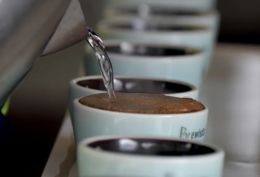 world of coffee 2026 en Panamá