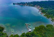 Panamá se muestra como destino líder en aviturismo