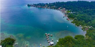 Panamá se muestra como destino líder en aviturismo