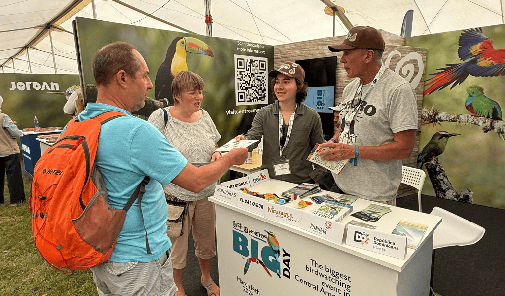 Bird Fair