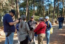 60 sitios habilitados para observar aves durante el Centroamérica Big Day 2026