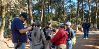 60 sitios habilitados para observar aves durante el Centroamérica Big Day 2026