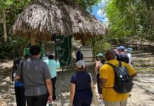 Belice convierte la sostenibilidad en experiencia con recorridos inmersivos en tierra, mar y cultura