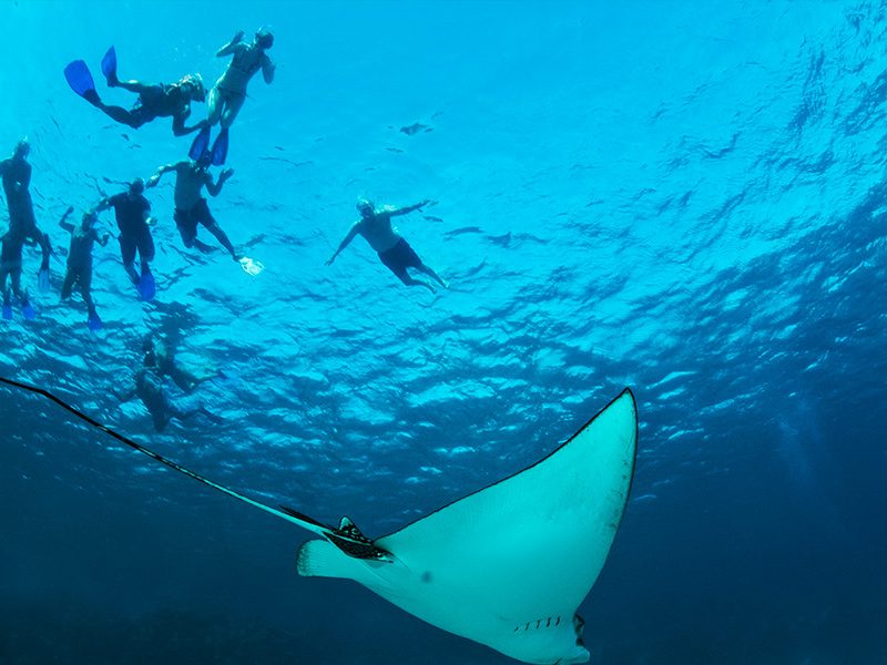 Conoce Belice en Centroamérica