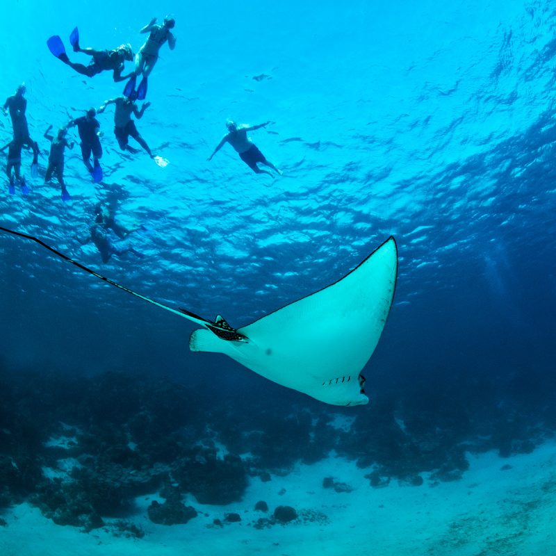 Patrimonio de la Humanidad, Arrecifes de Belice