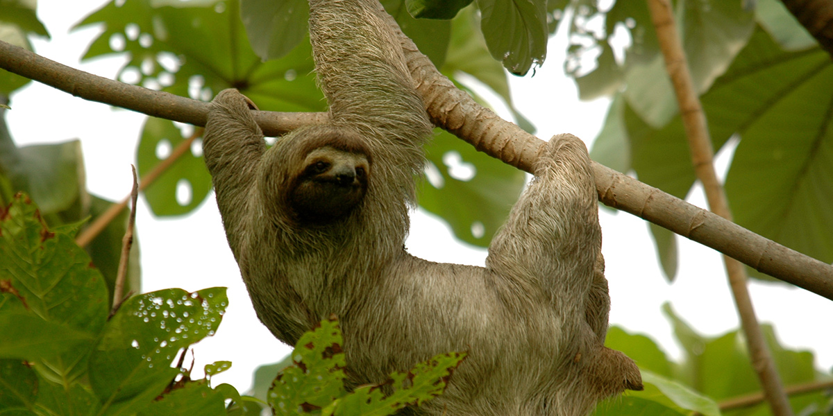  Naturaleza y ciudades coloniales en Costa Rica y Nicaragua 