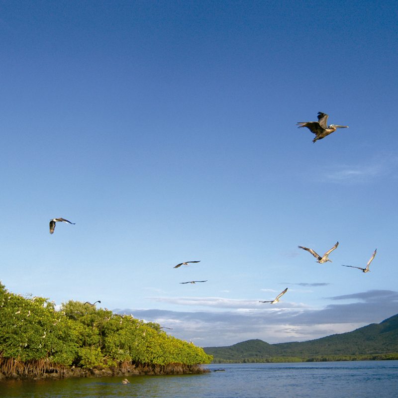 Fonseca's gulf in Honduras