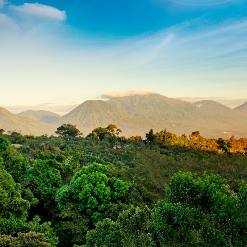 National park of the Volcanoes in El Salvador