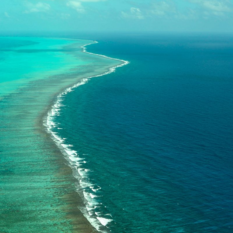 Reef in Belize