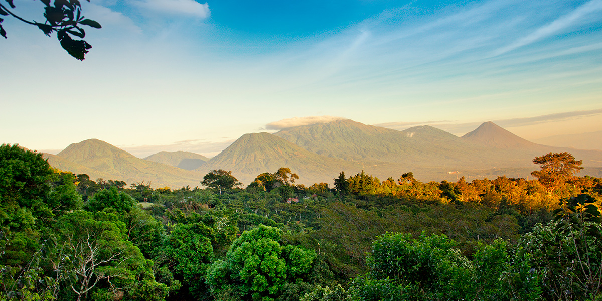 Skygge Misforstå Karu Parque Nacional de los Volcanes, para amantes de la naturaleza