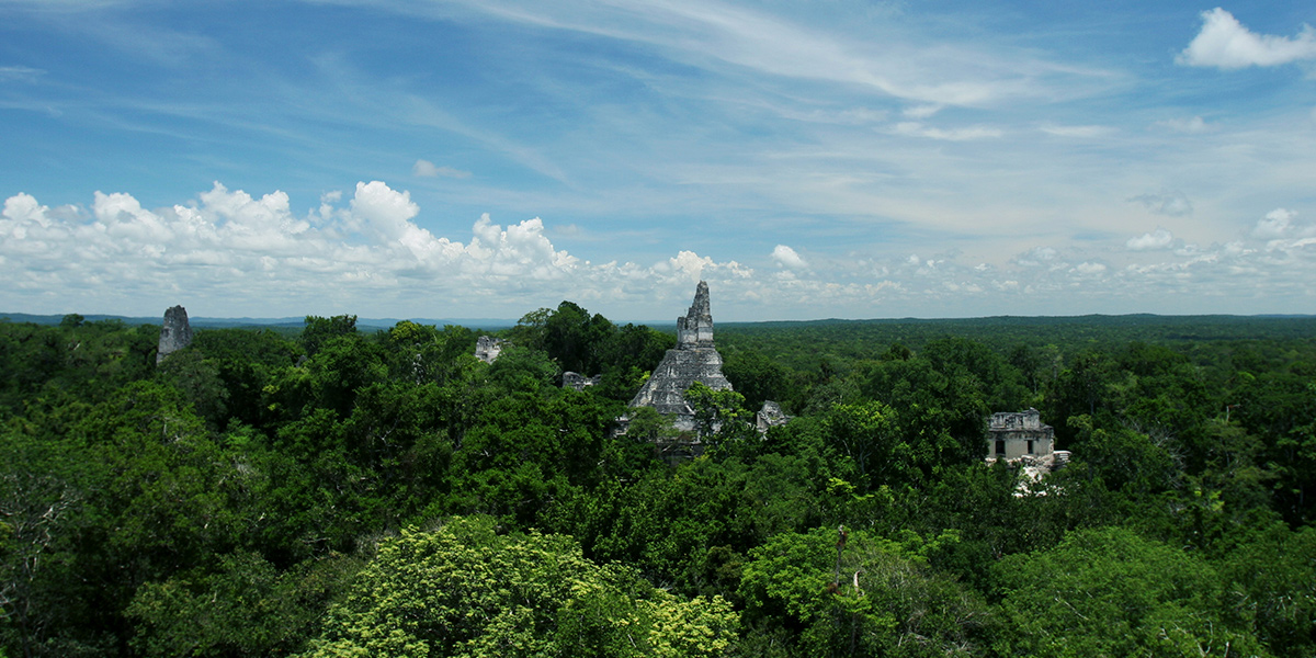 Central America. Ruinas Tikal in Guatemala 