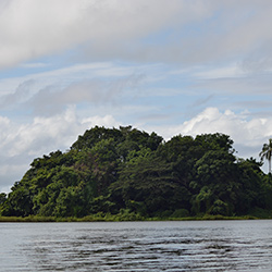 Central America. Nicaragua Solentiname in Nicaragua