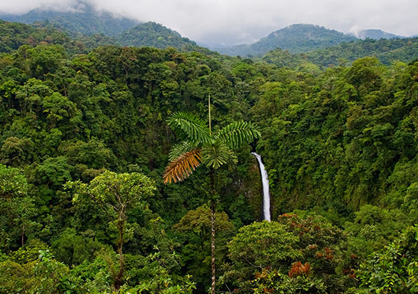 Centroamérica Esencial, Guatemala y Costa Rica en profundidad